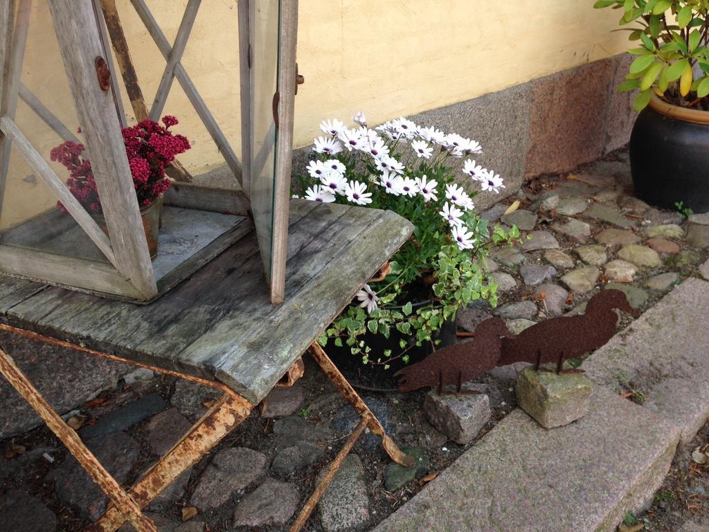 Birkende Bed And Breakfast Langeskov Экстерьер фото