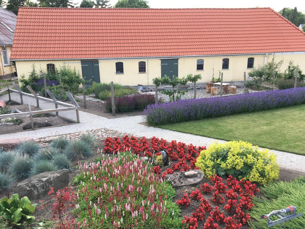 Birkende Bed And Breakfast Langeskov Экстерьер фото