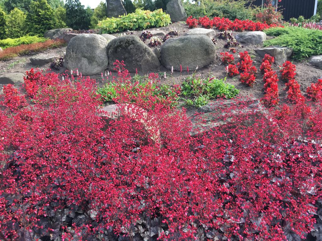 Birkende Bed And Breakfast Langeskov Экстерьер фото